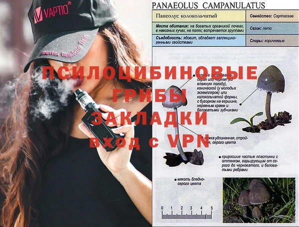 прущая мука Михайловск