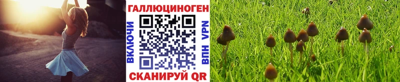 маркетплейс наркотические препараты  где можно купить наркотик  Юхнов  Псилоцибиновые грибы ЛСД 